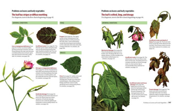 What's Wrong With My Plant? (And How Do I Fix It?): A Visual Guide to Easy Diagnosis and Organic Remedies