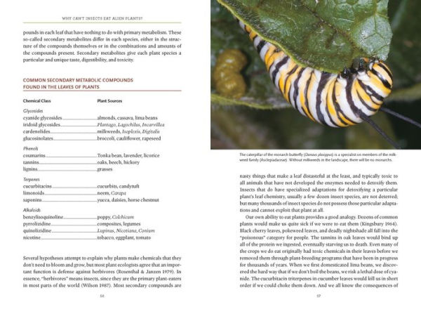 Bringing Nature Home: How You Can Sustain Wildlife with Native Plants, Updated and Expanded