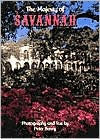 Title: The Majesty Of Savannah, Author: Peter Beney