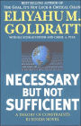 Necessary But Not Sufficient: A Theory of Constraints Business Novel