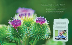 Alternative view 2 of Who Knew?: The Wonders of Biomimicry