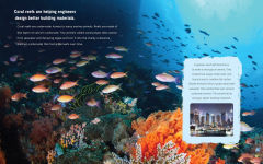 Alternative view 4 of Who Knew?: The Wonders of Biomimicry