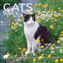 2022 Cats Wall Calendar