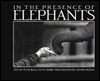 In the Presence of Elephants