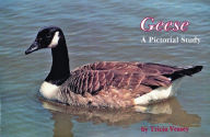 Title: Geese: A Pictorial Study, Author: Tricia Veasey
