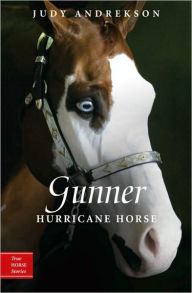 Title: Gunner: Hurricane Horse, Author: Judy Andrekson