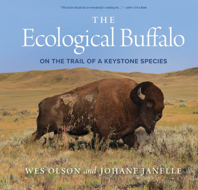 What are keystone species and why are they important? - National  Environmental Treasure