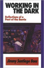 Working in the Dark: Reflections of a Poet of the Barrio