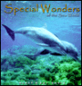 Special Wonders of the Sea World