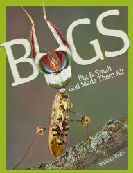Title: Bugs: Big & Small, God Made Them All, Author: Will Zinke