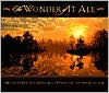 The Wonder of It All: The Creation Account according to the Book of Job