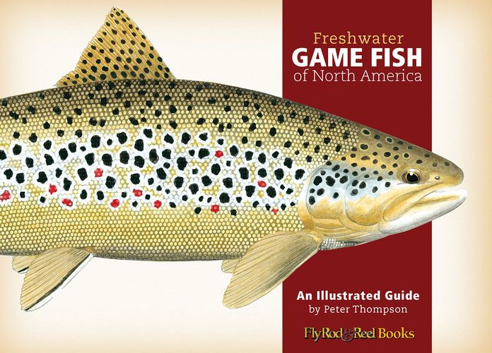 Freshwater Game Fish of North America: An Illustrated Guide [eBook]