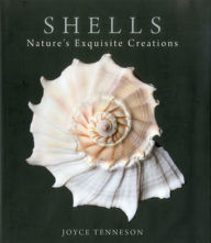 Title: Shells: Nature's Exquisite Creations, Author: Joyce Tenneson