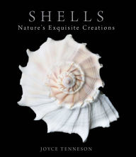 Title: Shells: Nature's Exquisite Creations, Author: Joyce Tenneson