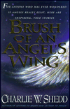 Brush of an Angel's Wing