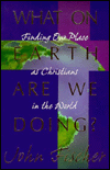 What on Earth Are We Doing?: Finding Our Place as Christians in the World