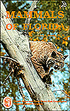 Title: Mammals of Florida, Author: Larry N. Brown