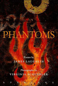 Phantoms