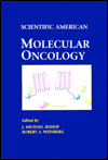 Molecular Oncology / Edition 1