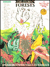 Forests Coloring Book