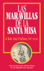 Las Maravillas de la Santa Misa: Spanish Edition of The Wonders of the Mass