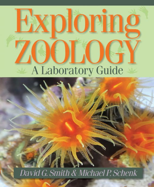 Exploring Zoology Lab. Guide (Looseleaf) by Hans Wachtmeister