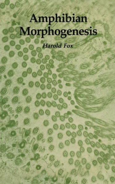 Amphibian Morphogenesis / Edition 1