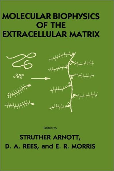 Molecular Biophysics of the Extracellular Matrix / Edition 1