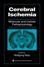 Cerebral Ischemia: Molecular and Cellular Pathophysiology / Edition 1