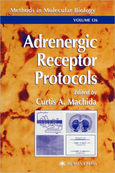 Adrenergic Receptor Protocols / Edition 1