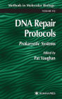 DNA Repair Protocols: Prokaryotic Systems / Edition 1