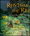 Rhythm of the Reef: A Day in the Life of the Coral Reef
