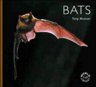 Bats