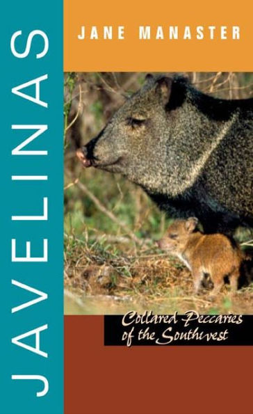 Javelinas: Collared Peccaries of the Southwest