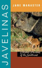 Javelinas: Collared Peccaries of the Southwest