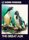 The Great Auk