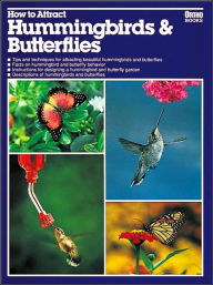 How to Attract Hummingbirds and Butterflies