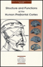 Structure and Functions of the Human Prefrontal Cortex