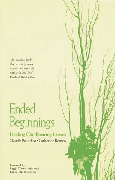 Ended Beginnings: Healing Childbearing Losses / Edition 1