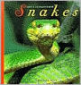 Snakes (Let's Investigate Series)