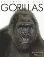 Gorillas (Amazing Animals Series)