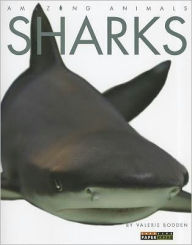 Sharks (Amazing Animals Series)