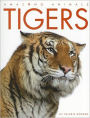 Tigers (Amazing Animals Series)