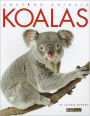 Koalas (Amazing Animals Series)