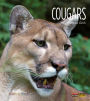 Cougars