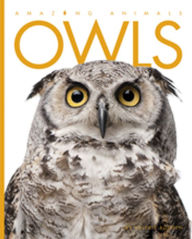Owls (Amazing Animals Series)