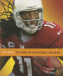 NFL Today: Arizona Cardinals