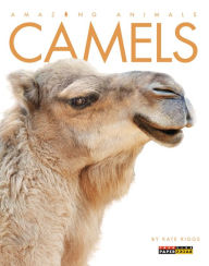 Camels (Amazing Animals Series)