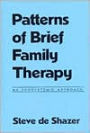 Patterns of Brief Family Therapy: An Ecosystemic Approach