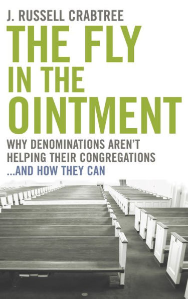 The Fly in the Ointment: Why Denominations Aren't Helping Their Congregations...and How They Can